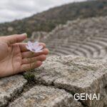 La forza di essere fragili